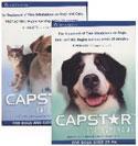 Buy Capstar (Nitenpyram) online from online Canadian Pharmacy | CanPharm.com