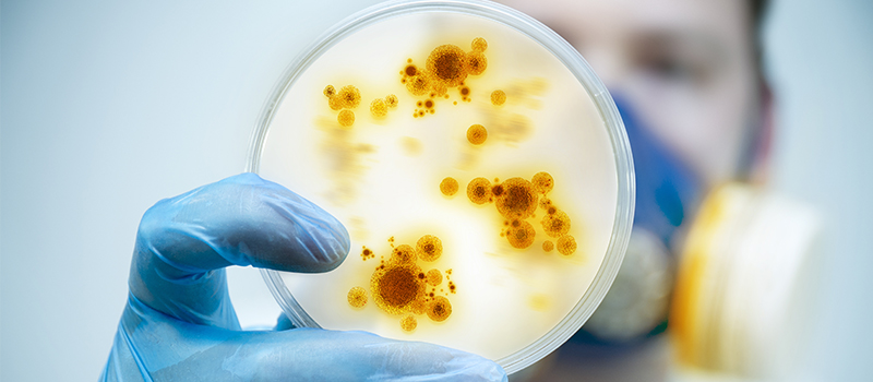 Do antibiotics work only on bacterial diseases